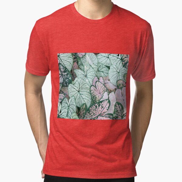 Tri-blend T-Shirt