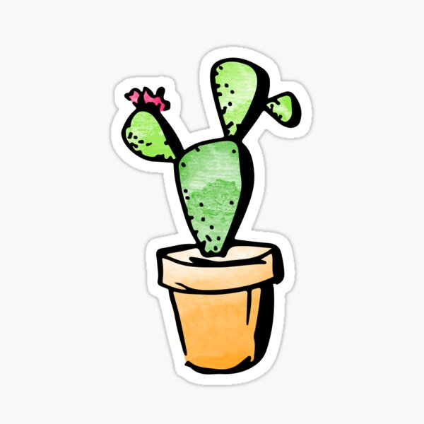 Catus Stickers | Redbubble