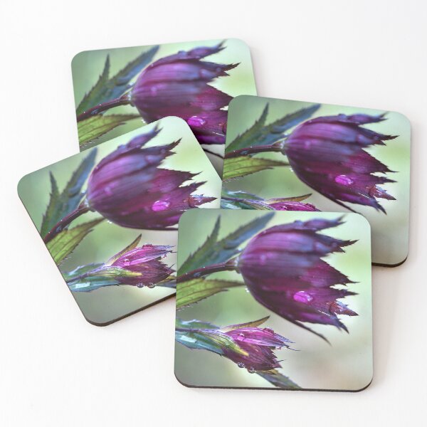 Item preview, Looking - A View  designed and sold by Carl Gaynor.