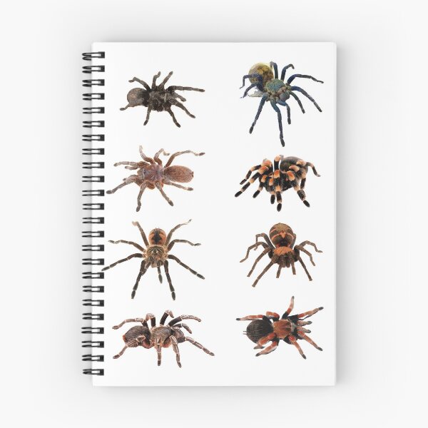 Aperçu de l'œuvre Tarentules créée et vendue par inspireddezigne.