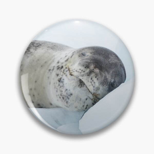 Item preview, Sleeping Leopard Seal on Ice designed and sold by thewildandice.