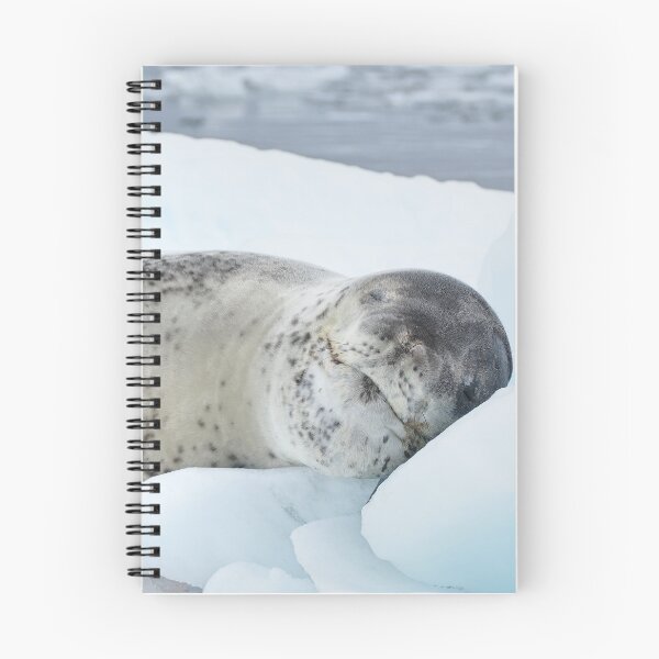 Item preview, Sleeping Leopard Seal on Ice designed and sold by thewildandice.