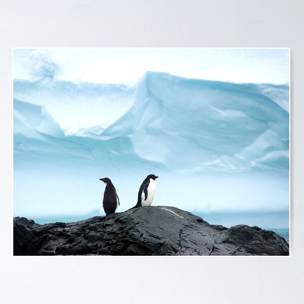Item preview, Adelie penguins with blue ice backdrop designed and sold by thewildandice.