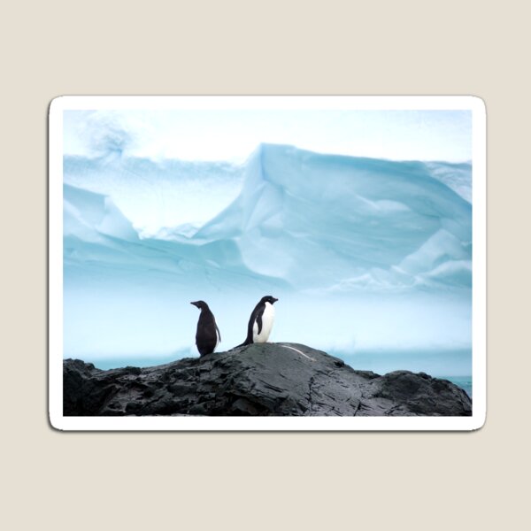 Item preview, Adelie penguins with blue ice backdrop designed and sold by thewildandice.