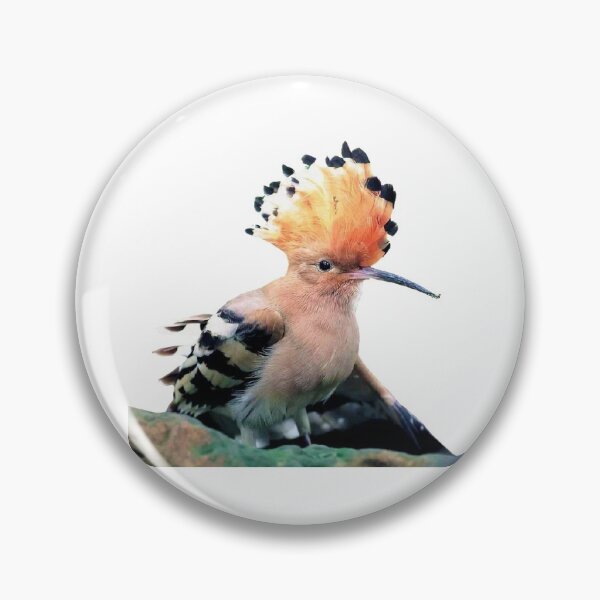 Item preview, Hoopoe (scientific name: Upupa epops): There are 8 subspecies. According to different subspecies designed and sold by zenger2021.