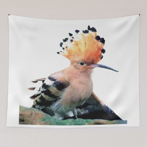 Item preview, Hoopoe (scientific name: Upupa epops): There are 8 subspecies. According to different subspecies designed and sold by zenger2021.