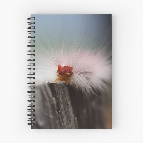 Item preview, Caterpillar checkin' things out designed and sold by Richard Keech.