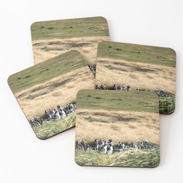 Item preview, Magellanic penguins hideout designed and sold by thewildandice.