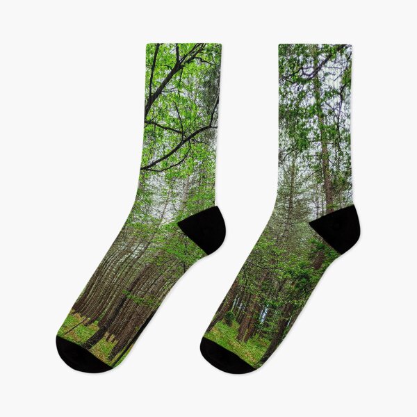 Item preview, New Forest Trees designed and sold by Abigail Brown.