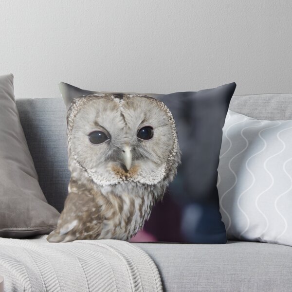 Item preview, Wide Awake designed and sold by Leah Le Good.