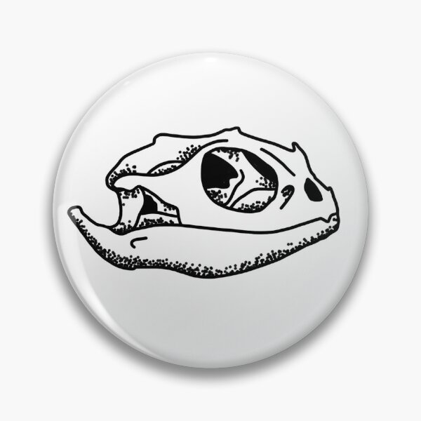 Item preview, Bearded dragon skull designed and sold by Shramplet.
