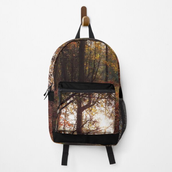 Item preview, The beauty of the parisian forest of Boulogne in autumn designed and sold by Sara Sanchez PHOTO.