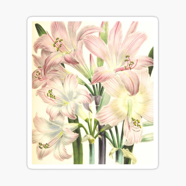 Item preview, Pink flowers designed and sold by alalaura.