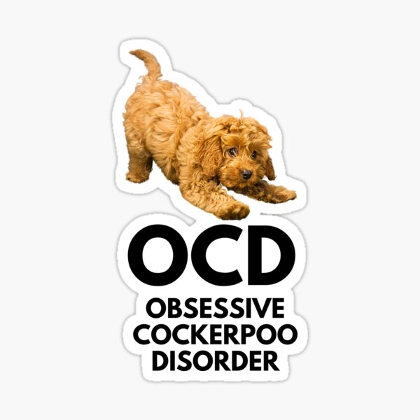 Item preview, OCD. Obsessive Cockerpoo Disorder. Obsessed! designed and sold by JellyBeenzz.