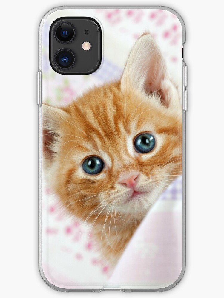 Cute Ginger Tabby Kitten Iphone Case Cover By Ardeaonline Redbubble