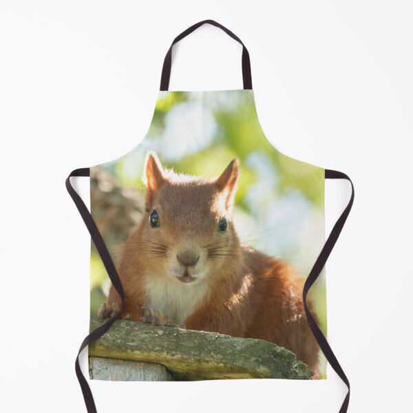 Item preview, Peak a boo Squirrel-Funny-Animal designed and sold by RolandWidin.