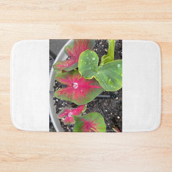 Item preview, After the rain  designed and sold by BOBBYBABE.