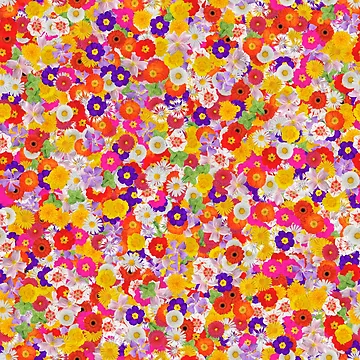 Artwork thumbnail, Spring Flowers by Emitropy