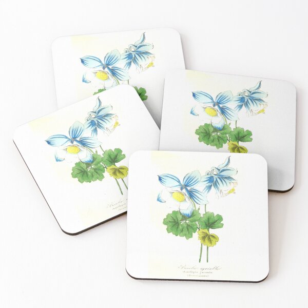 Item preview, Ancolie, Columbine, Le Maout botanical print designed and sold by mmemelissande.