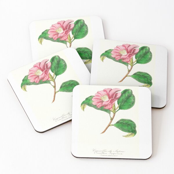 Item preview, Camellia du Japon, Le Maout botanical print  designed and sold by mmemelissande.