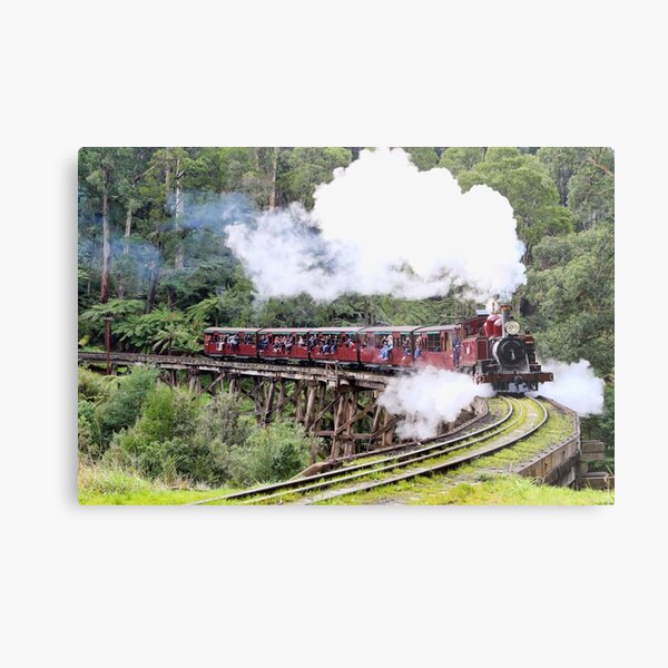 Steaming Along Metal Print