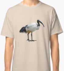 Neutral Ibis Classic T-Shirt