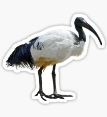 Neutral Ibis Sticker
