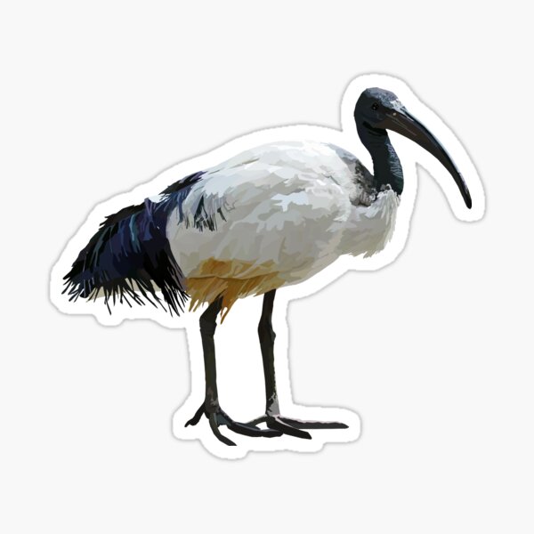 Item preview, Neutral Ibis  designed and sold by mitalica-fing.