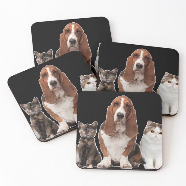 Item preview, Dogs and cats together , cats and Dogs owner designed and sold by amr4874.