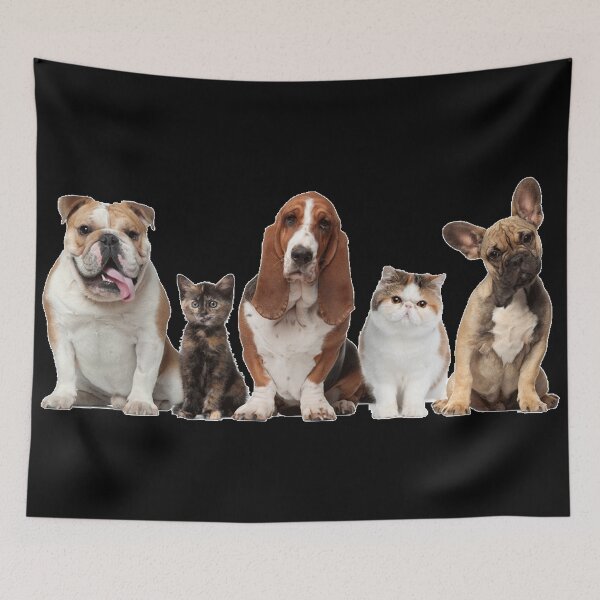 Item preview, Dogs and cats together , cats and Dogs owner designed and sold by amr4874.