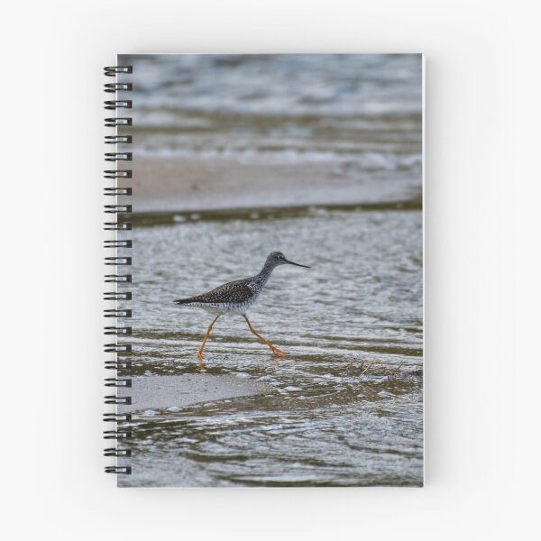 Item preview, Greater Yellowlegs Chasing Food designed and sold by faribastom.