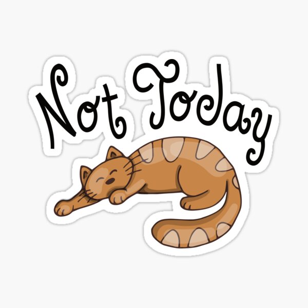 Not Today with Sleeping Cat Sticker