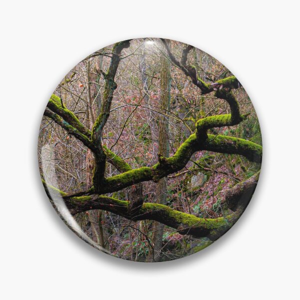 Item preview, Reaching Forth designed and sold by metriognome.