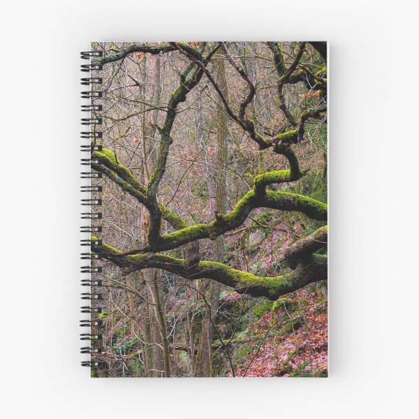 Item preview, Reaching Forth designed and sold by metriognome.