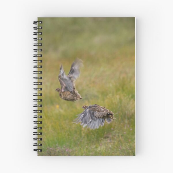 Item preview, Red Grouse in Flight designed and sold by Karen Miller.
