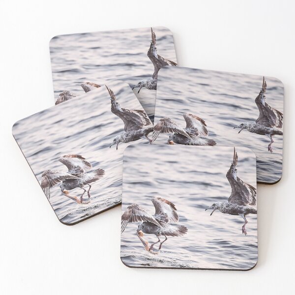 Item preview, Fighting Gulls designed and sold by Frank Parisi.