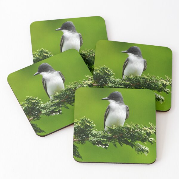 Item preview, On a Bough: Eastern Kingbird designed and sold by David3209.