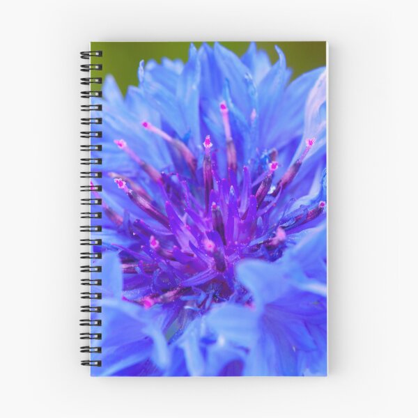 Item preview, Cornflower designed and sold by Marc Garrido Clotet.