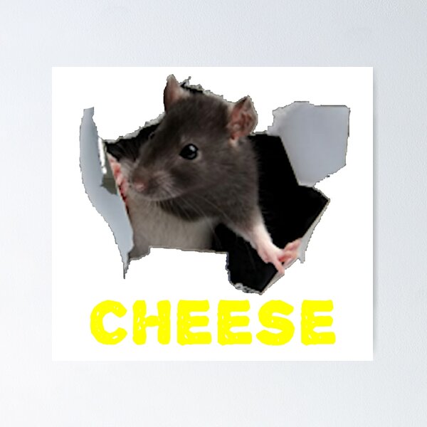 Life is soup, I am fork. White Mouse Rat Meme - Art Print Poster –  crizltron2000