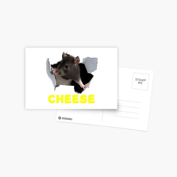 Cheese Rat Postcard