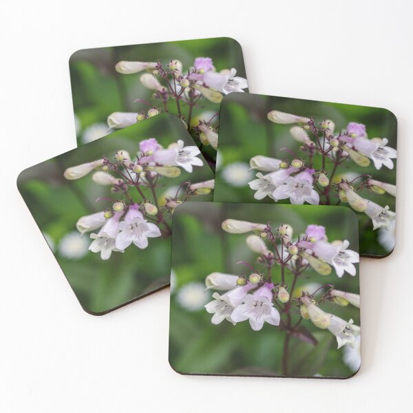 Item preview, White bell clusters Talus Slope Penstemon designed and sold by SRosuphotos.