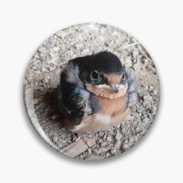 Item preview, Barn Swallow designed and sold by Pr0teusUnbound.