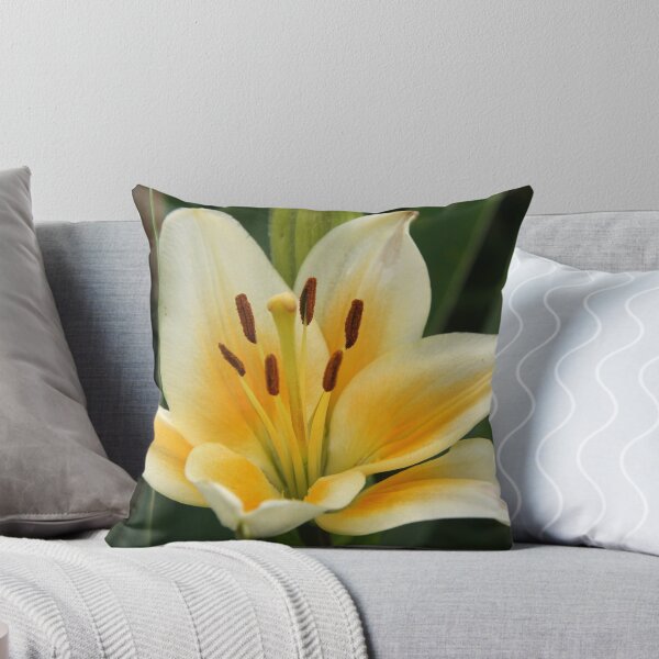Item preview, Beauty Of The Lily designed and sold by coffeebean.