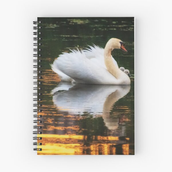 Item preview, Safeguarding Sundown designed and sold by Owed To Nature.