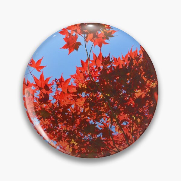 Item preview, Red Tree Blues designed and sold by Tessia Photography.