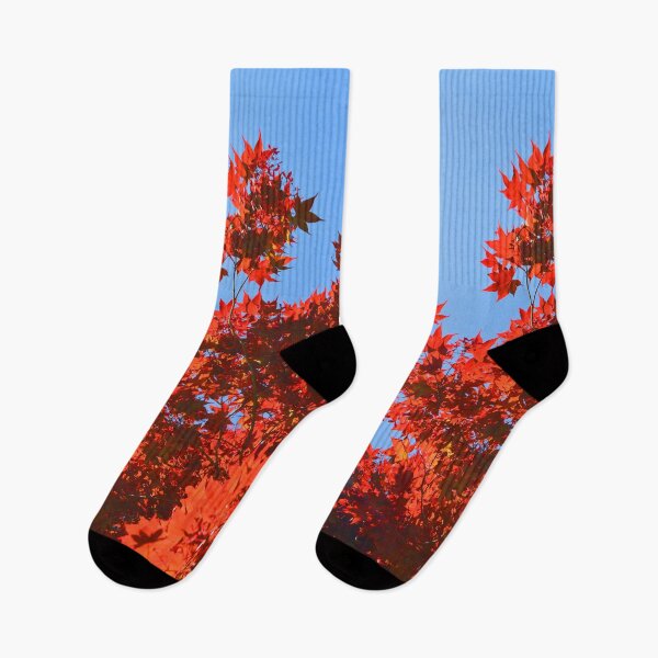 Item preview, Red Tree Blues designed and sold by Tessia Photography.