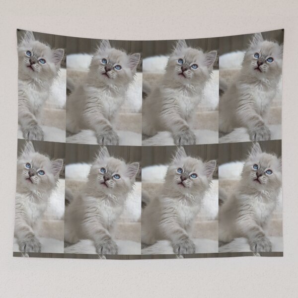 Item preview, Lynx ragdoll kitty designed and sold by Fluffycat2020.