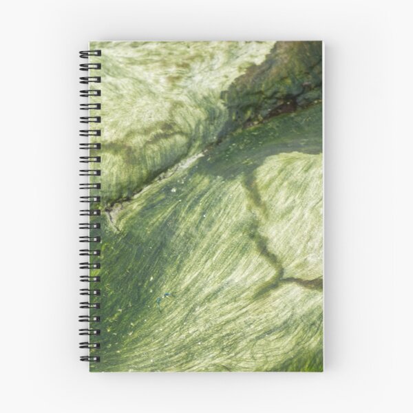 Item preview, Slippery stone designed and sold by Nadia Arsky.