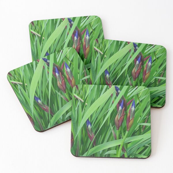 Item preview, TAMalloyPhoto -  BUDDING IRIS ' designed and sold by TAMalloyPhoto.