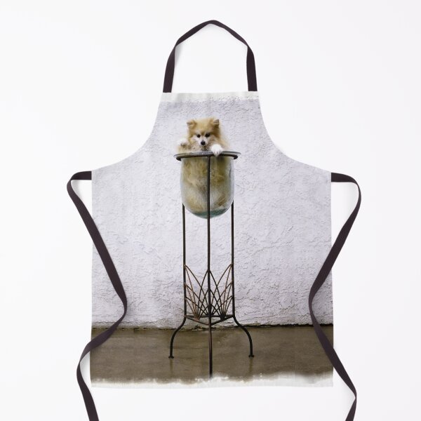 Item preview, Potted Pommy Art Photo designed and sold by DEC02.